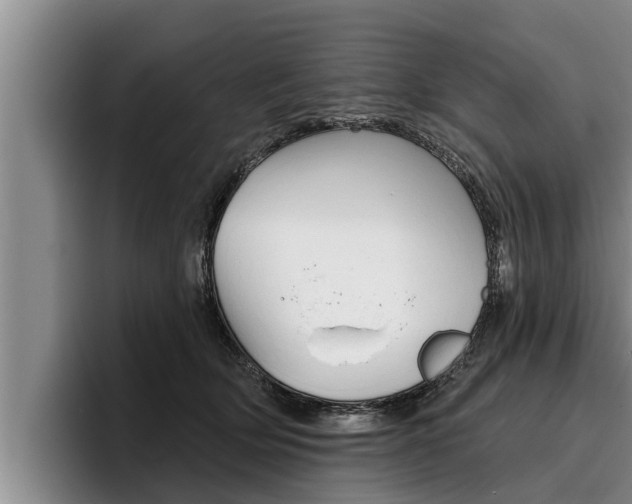 X0000096210514200801181012