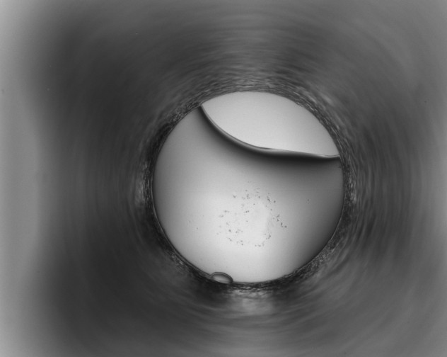 X0000096210515200801181012