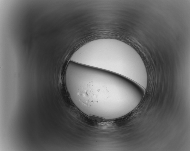 X0000096210516200801181012