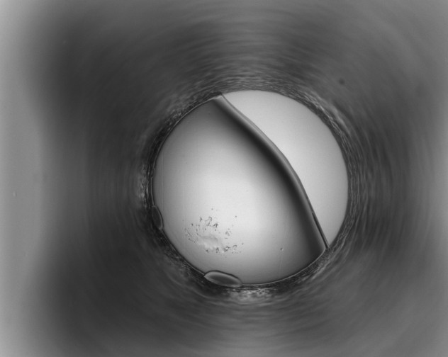 X0000096210517200801181012