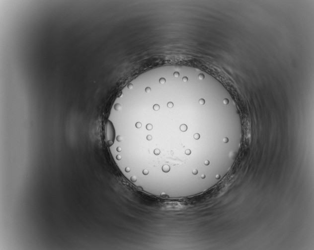 X0000096210519200801181012