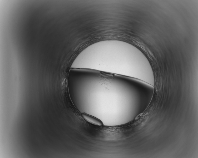 X0000096210521200801181012