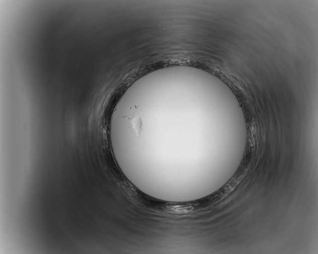 X0000096210522200801181012