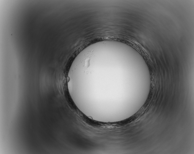 X0000096210523200801181012