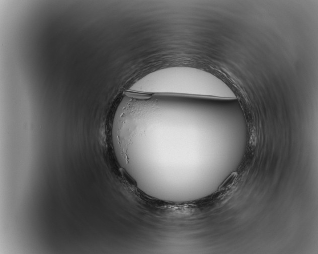 X0000096210524200801181012
