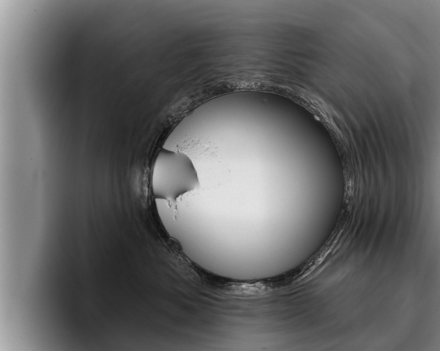 X0000096210525200801181012