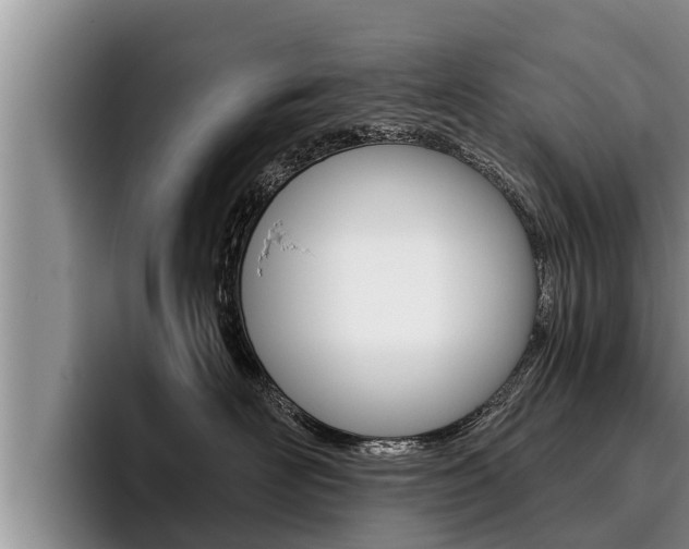 X0000096210526200801181012