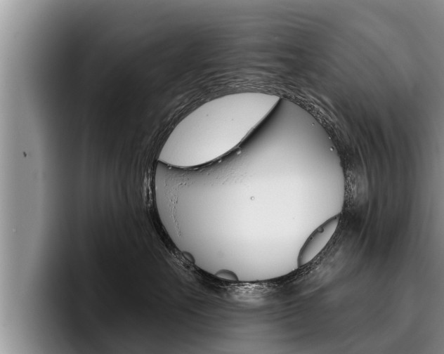 X0000096210527200801181012
