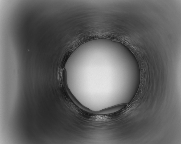 X0000096210528200801181012