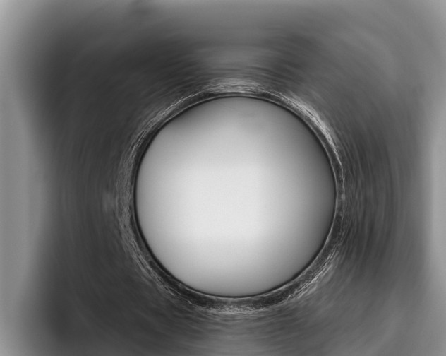 X0000096210529200801181011