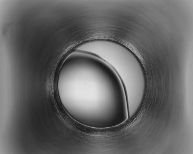 X0000096210530200801181011