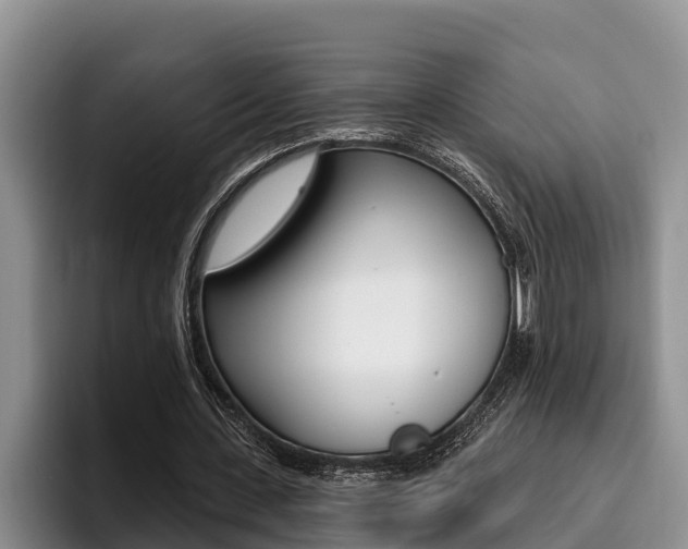 X0000096210531200801181011