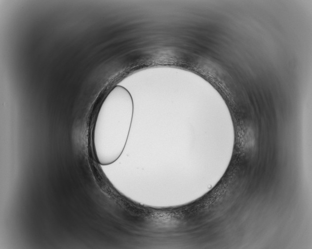 X0000096210534200801181011