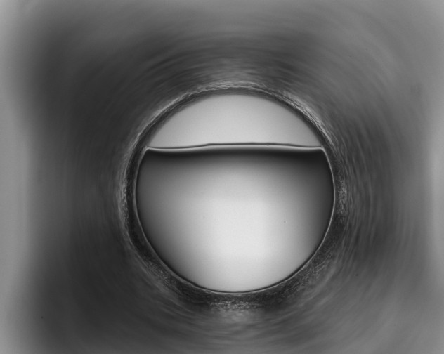 X0000096210535200801181011
