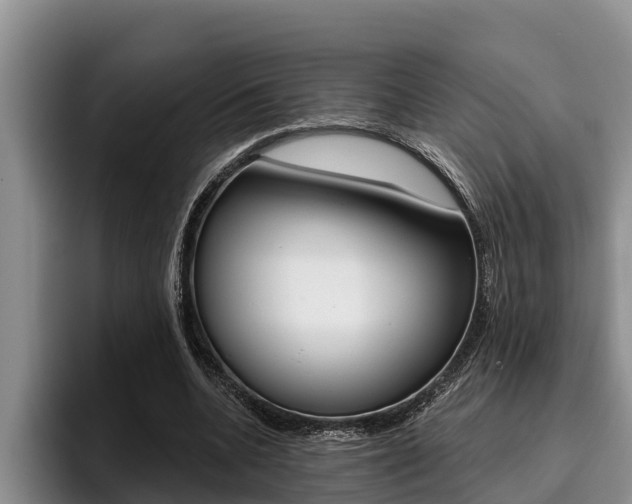 X0000096210536200801181011