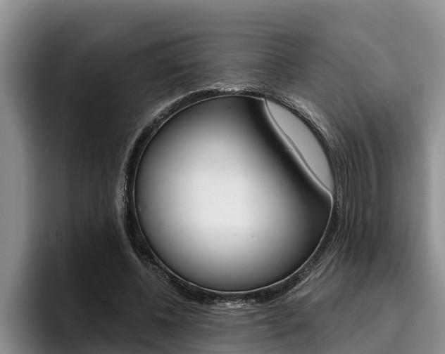 X0000096210540200801181011