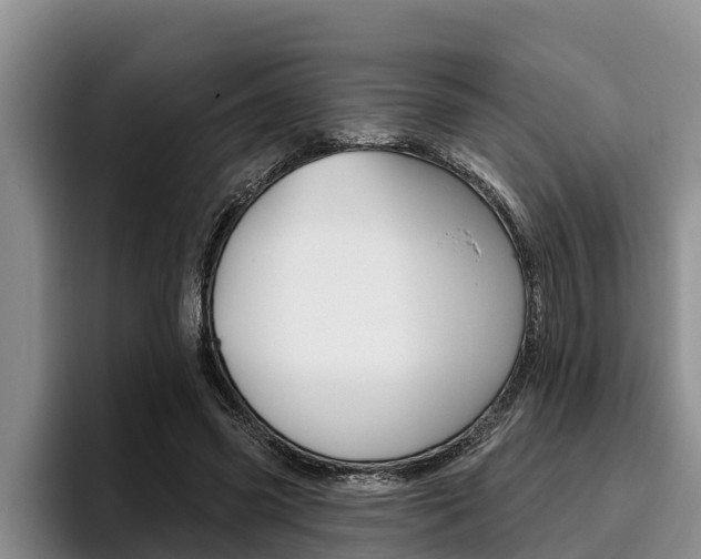 X0000096210541200801181011