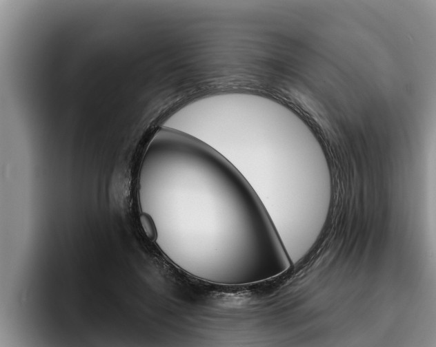 X0000096210548200801181011