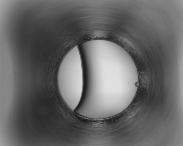 X0000096210550200801181011