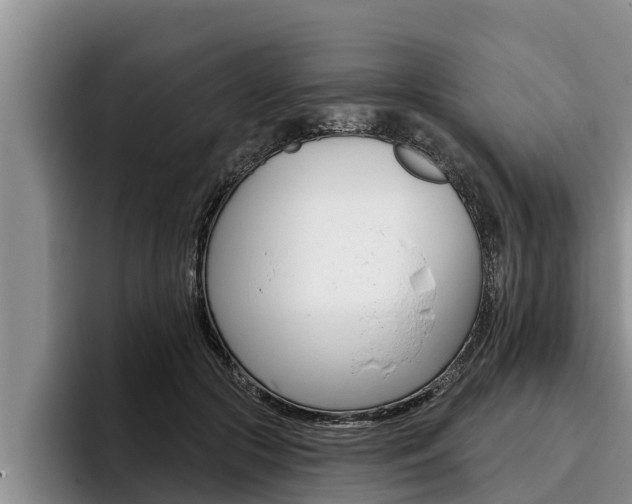 X0000096210553200801181011