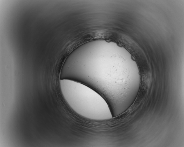 X0000096210554200801181011