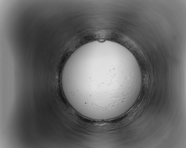 X0000096210557200801181011