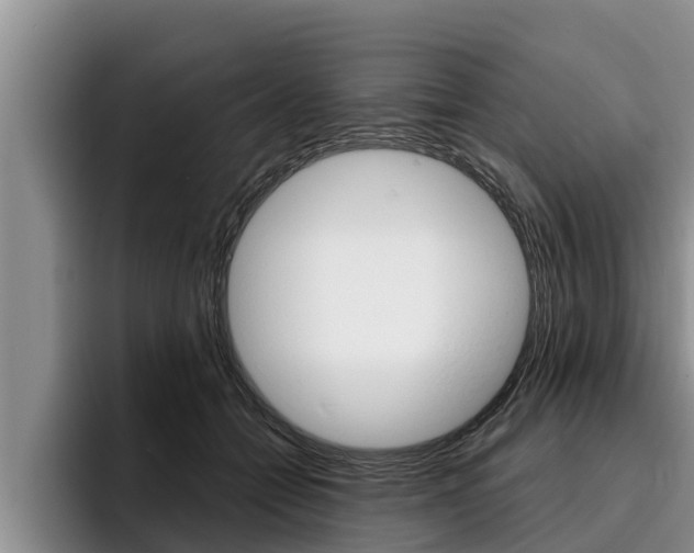 X0000096210558200801181011