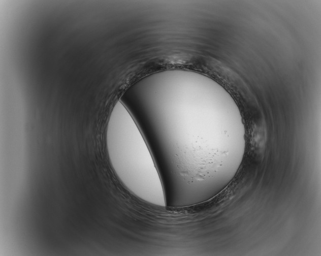 X0000096210559200801181011
