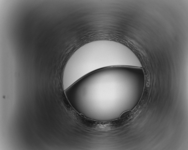 X0000096210560200801181011