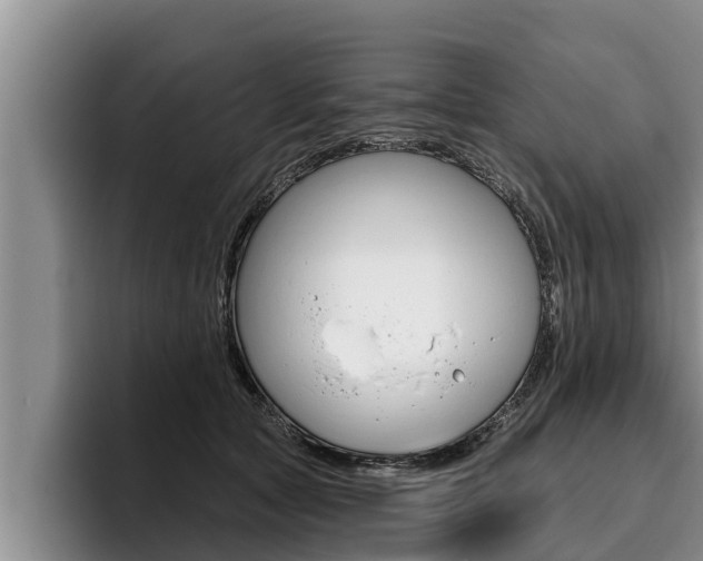 X0000096210561200801181011