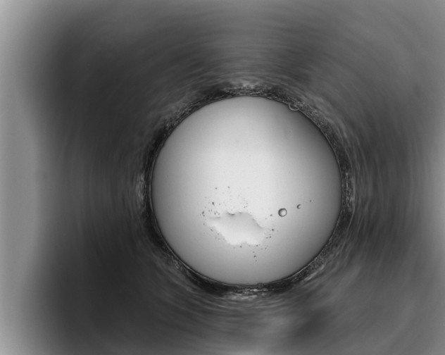 X0000096210563200801181011