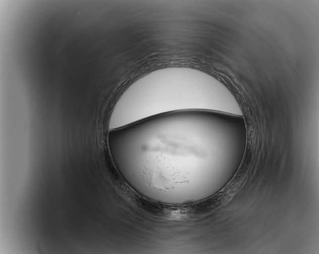 X0000096210564200801181011