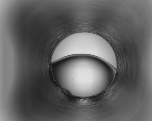 X0000096210566200801181011