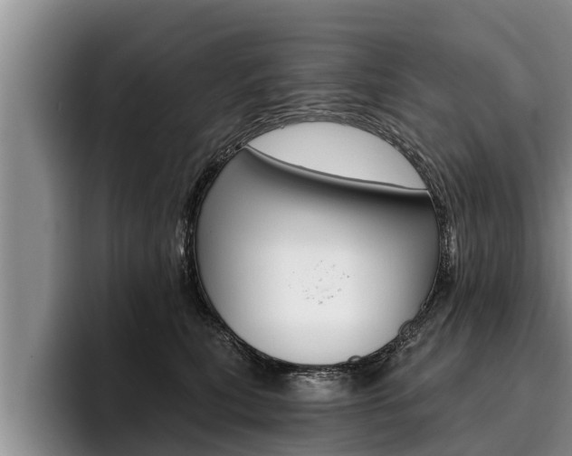 X0000096210567200801181011