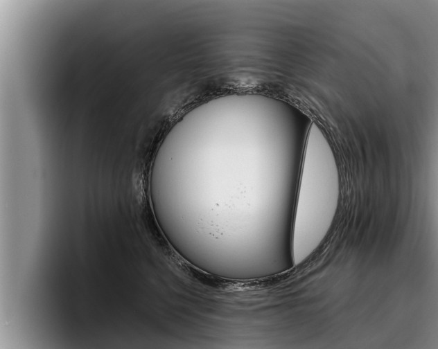 X0000096210568200801181011