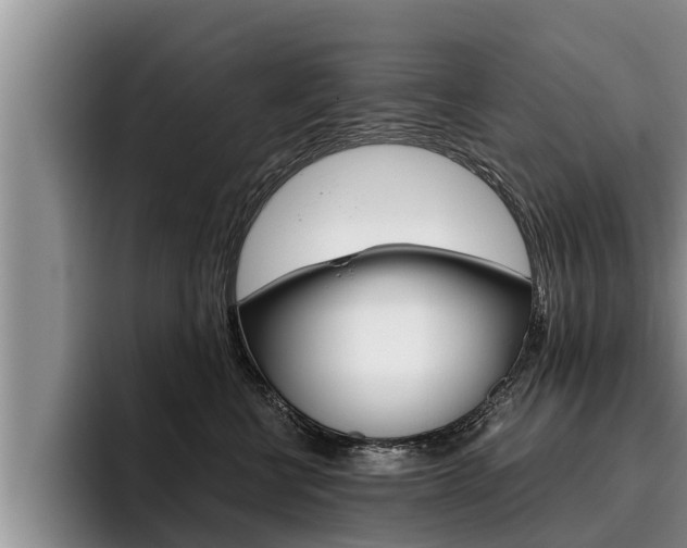 X0000096210570200801181011