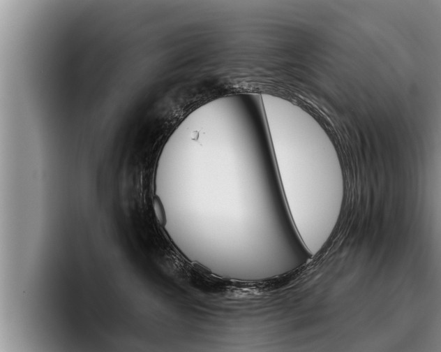 X0000096210572200801181011