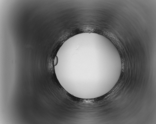 X0000096210573200801181011
