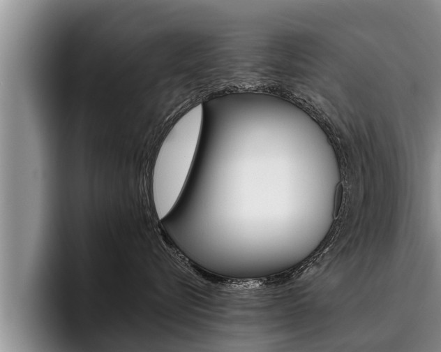 X0000096210576200801181012