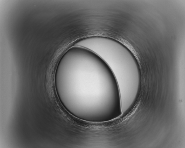X0000096210577200801181011