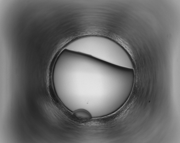 X0000096210578200801181011