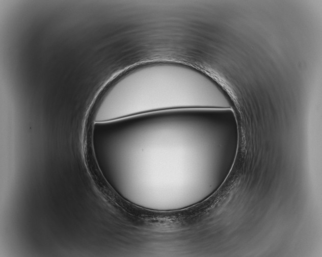 X0000096210580200801181011