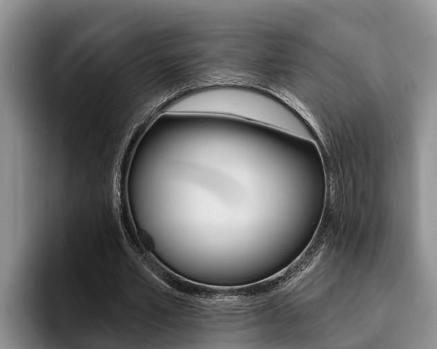 X0000096210581200801181011