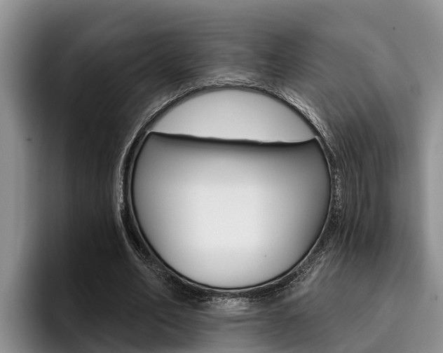 X0000096210582200801181011