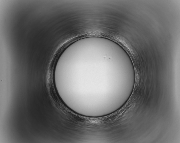 X0000096210583200801181011