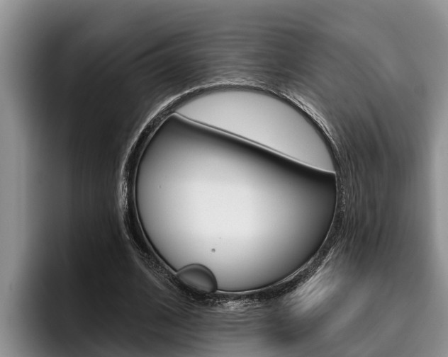 X0000096210584200801181011