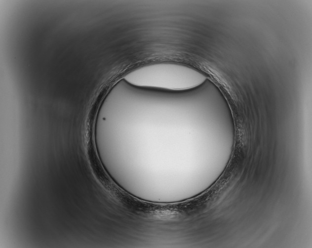 X0000096210586200801181011