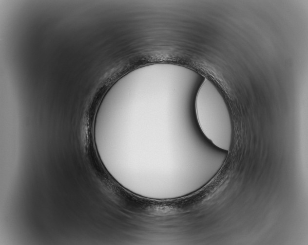 X0000096210590200801181011