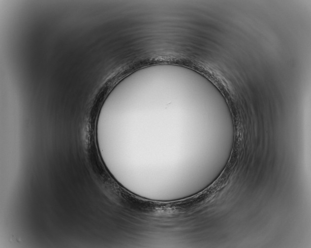 X0000096210591200801181011