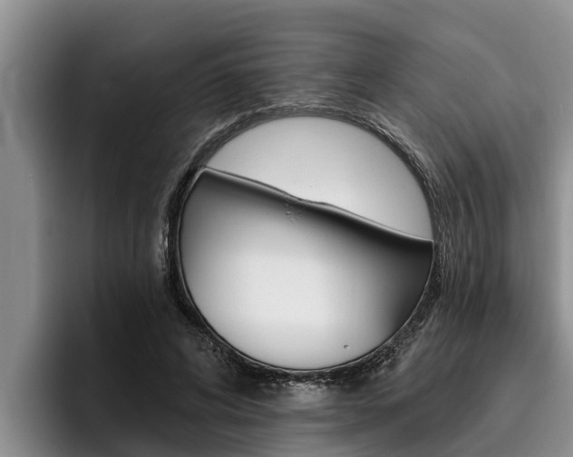 X0000096210592200801181011